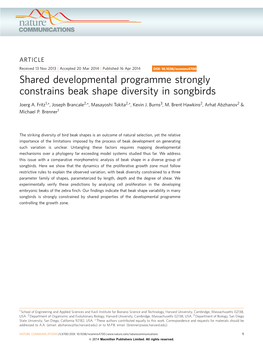 Shared Developmental Programme Strongly Constrains Beak Shape Diversity in Songbirds