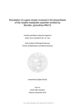 Dissertation Domik 2016.Pdf