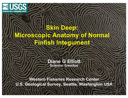 Elliott Normal Fish Skin EAFP 2019