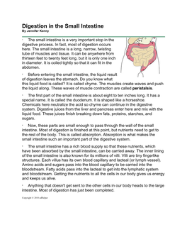 Digestion in the Small Intestine by Jennifer Kenny