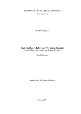 Externality Produkované Vybranými Firmami Externalities Produced by Selected Firms