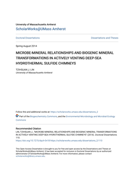 Microbe-Mineral Relationships and Biogenic Mineral Transformations in Actively Venting Deep-Sea Hydrothermal Sulfide Chimneys