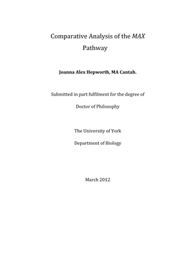 Comparative Analysis of the MAX Pathway