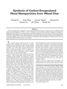 Synthesis of Carbon-Encapsulated Metal Nanoparticles from Wood Char