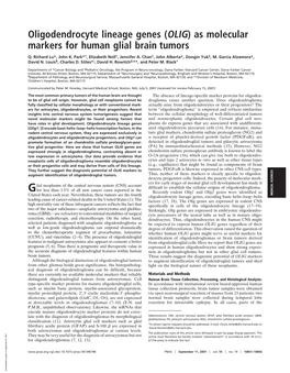 (OLIG) As Molecular Markers for Human Glial Brain Tumors