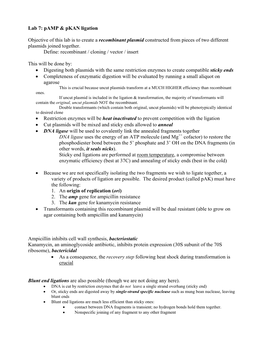 Pamp & Pkan Ligation Objective of This Lab Is to Create a Recombinant