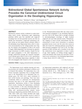 Bidirectional Global Spontaneous Network Activity Precedes the Canonical Unidirectional Circuit Organization in the Developing Hippocampus