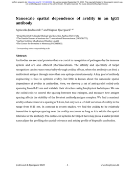 Nanoscale Spatial Dependence of Avidity in an Igg1 Antibody