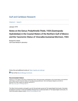 (Gastropoda: Hydrobiidae) in the Coastal Waters of the Northern Gulf of Mexico and the Taxonomic Status of Vioscalba Louisianae Morrison, 1965