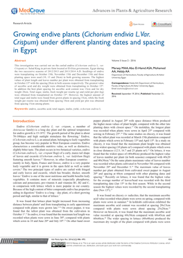 Growing Endive Plants (Cichorium Endivia L. Var. Crispum) Under Different Planting Dates and Spacing in Egypt