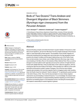 Trans-Andean and Divergent Migration of Black Skimmers (Rynchops Niger Cinerascens) from the Peruvian Amazon