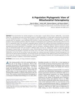 A Population Phylogenetic View of Mitochondrial Heteroplasmy