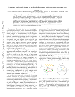 Quantum Probe and Design for a Chemical Compass with Magnetic