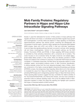 Mob Family Proteins: Regulatory Partners in Hippo and Hippo-Like Intracellular Signaling Pathways