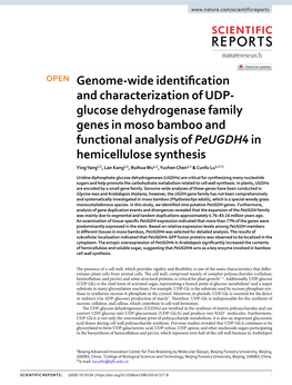 Genome-Wide Identification and Characterization of UDP-Glucose