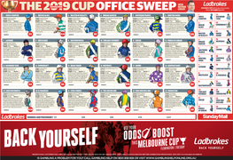 NED-586 Courier Mail Melbourne Cup Sweep Banner