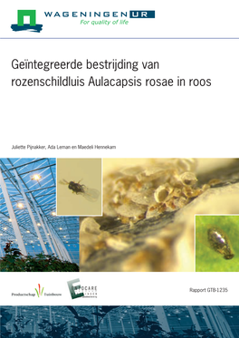 Geïntegreerde Bestrijding Van Rozenschildluis Aulacapsis Rosae in Roos