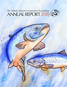 Annual Report TABLE of CONTENTS