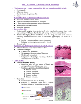 Histology: Skin & Appendages