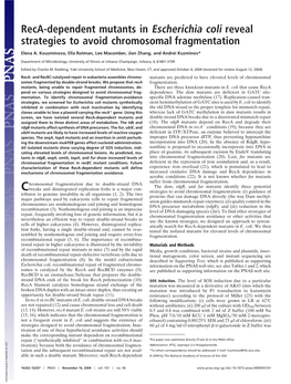 Reca-Dependent Mutants in Escherichia Coli Reveal Strategies to Avoid Chromosomal Fragmentation