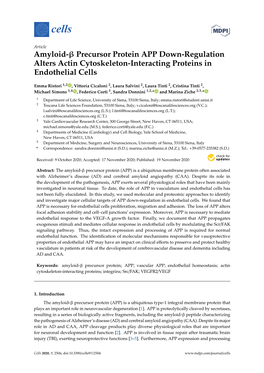 Amyloid-Β Precursor Protein APP Down-Regulation Alters Actin Cytoskeleton-Interacting Proteins in Endothelial Cells