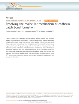 Resolving the Molecular Mechanism of Cadherin Catch Bond Formation