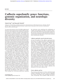 Cadherin Superfamily Genes: Functions, Genomic Organization, and Neurologic Diversity