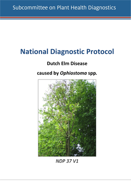 NDP 37 Dutch Elm Disease