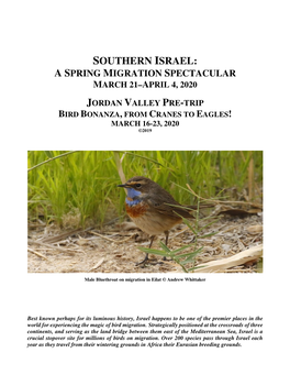 Southern Israel: a Spring Migration Spectacular March 21–April 4, 2020