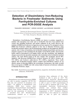 Detection of Dissimilatory Iron-Reducing Bacteria in Freshwater Sediments Using Ferrihydrite-Enriched Cultures and PCR-DGGE Analysis