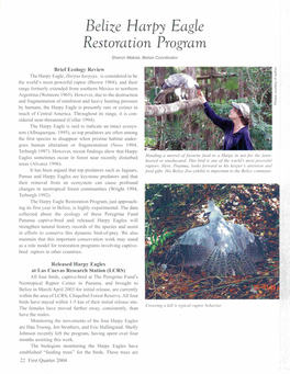 Belize Harpy Eagle Restoration Program