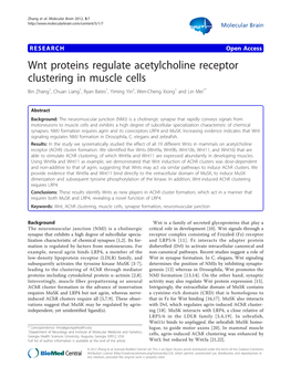 Wnt Proteins Regulate Acetylcholine Receptor Clustering in Muscle Cells Bin Zhang1, Chuan Liang1, Ryan Bates1, Yiming Yin2, Wen-Cheng Xiong1 and Lin Mei1*