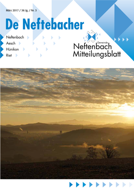 Neftenbach Aesch Hünikon Riet