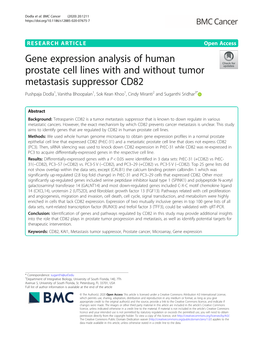 Gene Expression Analysis of Human Prostate Cell Lines with and Without