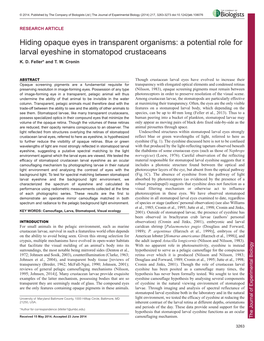 Hiding Opaque Eyes in Transparent Organisms: a Potential Role for Larval