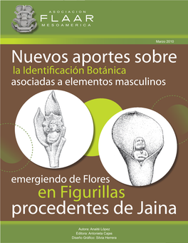 Procedentes De Jaina