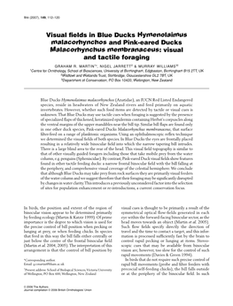 Visual Fields in Blue Ducks Hymenolaimus