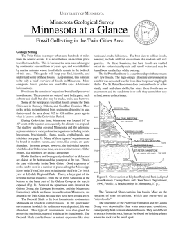 Minnesota at a Glance: Fossils of Southern Minnesota