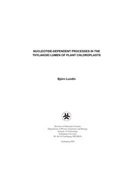 Nucleotide-Dependent Processes in the Thylakoid Lumen of Plant Chloroplasts