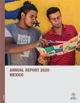 Annual Report 2020 Mexico in Brief Index