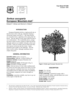 Sorbus Aucuparia European Mountain-Ash1 Edward F