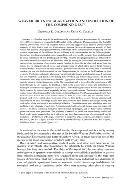 Weaverbird Nest Aggregation and Evolution of the Compound Nest 1