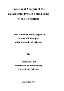 Functional Analysis of the Cytoskeletal Protein Talin2 Using Gene Disruption