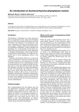 An Introduction to Auchenorrhyncha Phytoplasma Vectors