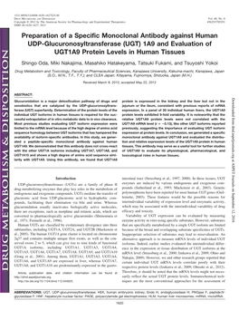 (UGT) 1A9 and Evaluation of UGT1A9 Protein Levels in Human Tissues