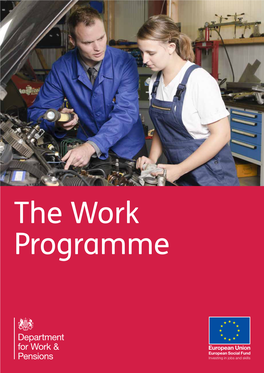 The Work Programme