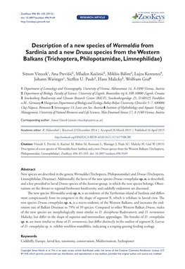 ﻿Description of a New Species of Wormaldia from Sardinia and a New Drusus Species from the Western Balkans (Trichoptera, Philo