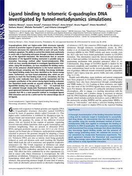 Ligand Binding to Telomeric G-Quadruplex DNA Investigated By