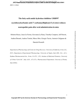 The Fatty-Acid Amide Hydrolase Inhibitor URB597