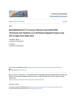 Reestablishment of Crataegus Species Associated with Tennessee Gas Pipeline Llcâ•Žs Northeast Upgrade Project Loop 323 in Hi